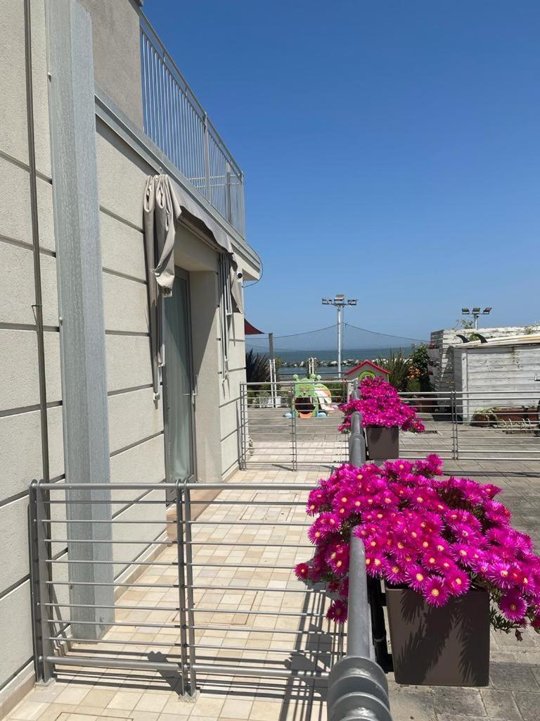 Hotel & Residence Cavalluccio Marino 리미니 외부 사진